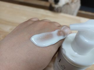 새돌댕댕님이 올린 리뷰 사진 3