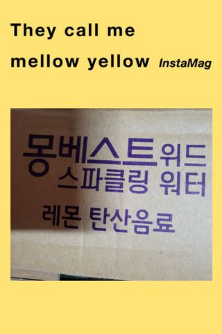 몽베스트 Montbest with Sparkling water Lemon OR Lime 20병(랜덤) — 5점을 준 리뷰어가 2021년 10월 올린 사용 사진