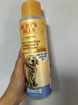 버츠비 퍼피투인원 티어리스 샴푸 앤 컨디셔너 — 5점을 준 리뷰어가 2021년 7월 올린 사용 사진