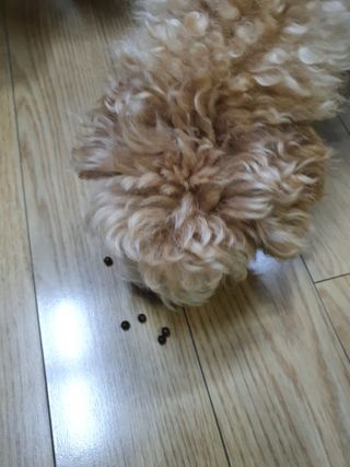 끌랑님이 올린 리뷰 사진 4