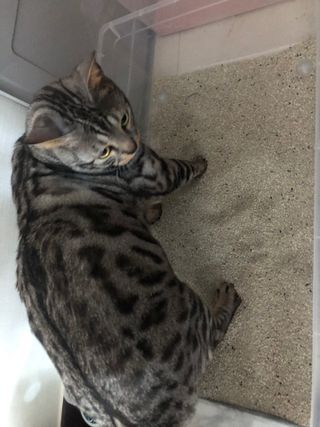 도리도리님이 올린 리뷰 사진 3