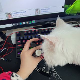 noname님이 올린 리뷰 사진 3