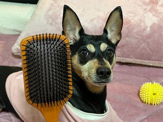 뚜나벨님이 올린 리뷰 사진 1