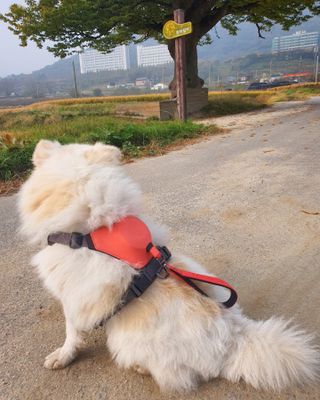 DuRiShin님이 올린 리뷰 사진 3