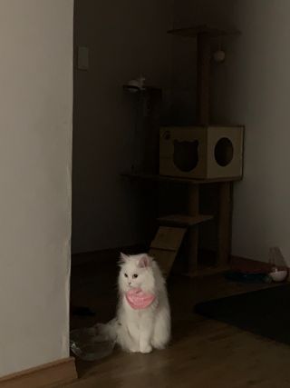 ㄹ진님이 올린 리뷰 사진 3