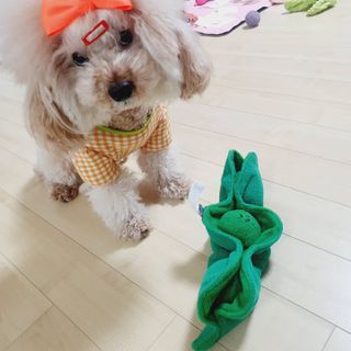 코코님이 올린 리뷰 사진 2