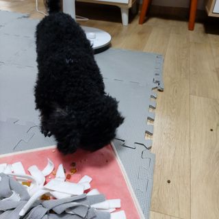 쓔리님이 올린 리뷰 사진 2