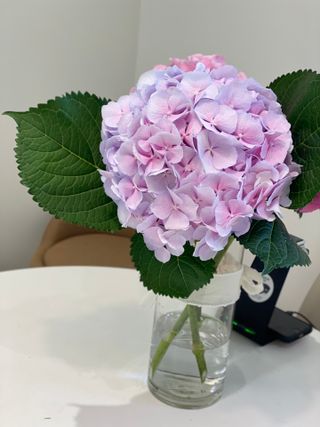 꿈꾸는율님이 올린 리뷰 사진 2
