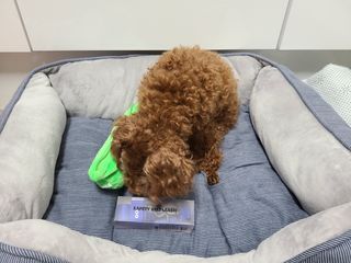 연이님이 올린 리뷰 사진 3