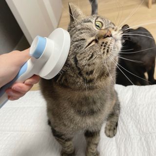이수님이 올린 리뷰 사진 2