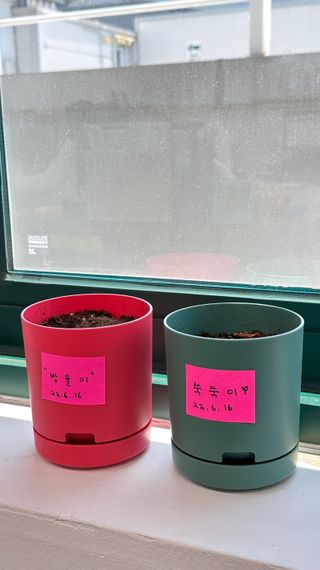 찌꽁님이 올린 리뷰 사진 2