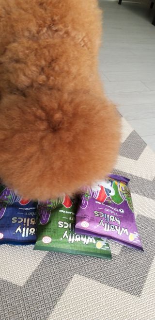용용마마님이 올린 리뷰 사진 3