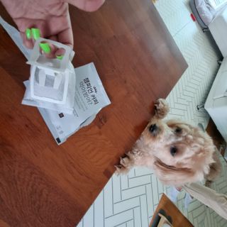 기린짱맘님이 올린 리뷰 사진 4