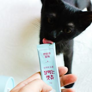 페페로니 잘 먹는 캣츄 - 원양선 참치 24개입 — 5점을 준 리뷰어가 2021년 7월 올린 사용 사진