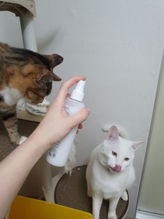 옒이님이 올린 리뷰 사진 2