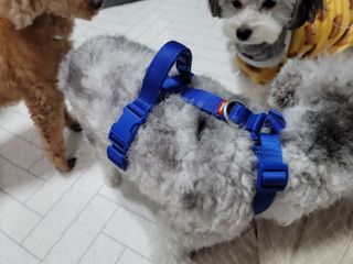 김이설님이 올린 리뷰 사진 2