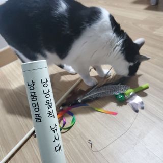 프랑프랑애드님이 올린 리뷰 사진 2