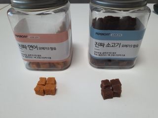페페로니 진짜 오메가3 연어+소고기 180g+180g — 5점을 준 리뷰어가 2021년 7월 올린 사용 사진