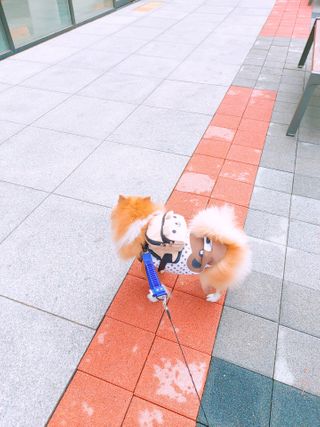 설탕님이 올린 리뷰 사진 3