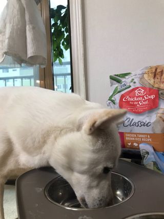 스쿰비님이 올린 리뷰 사진 3