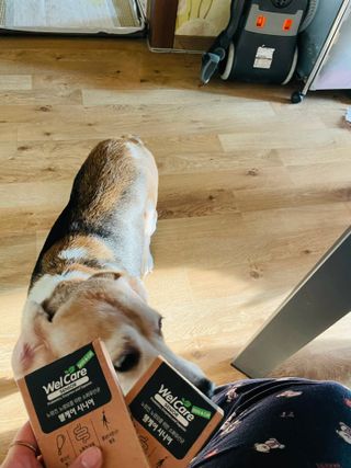 진진님이 올린 리뷰 사진 2