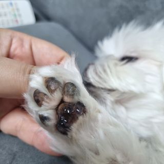 제잉님이 올린 리뷰 사진 4