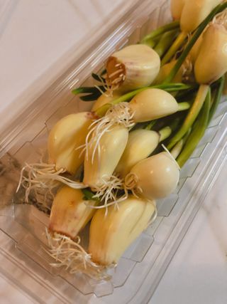 hoddong님이 올린 리뷰 사진 3
