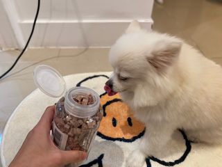프롬씨 미네랄 소고기트릿 / 미네랄 치킨트릿 / 미네랄 북어트릿 (3가지 상품 중 랜덤 1가지 상품 랜덤 발송) — 5점을 준 리뷰어가 2022년 11월 올린 사용 사진