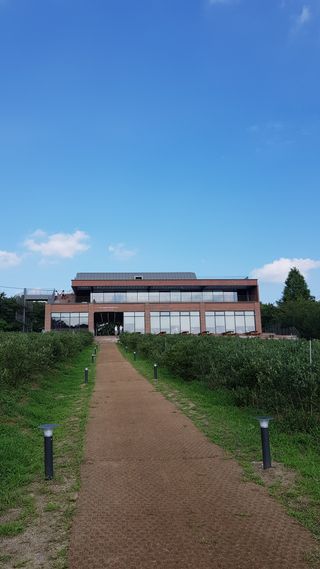 나무나님이 올린 리뷰 사진 4