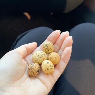 오리온 오징어땅콩의 짭짤고소 신제품, 구운김땅콩 — 5점을 준 리뷰어가 2022년 5월 올린 사용 사진