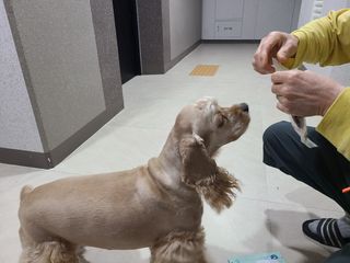 쏘짱님이 올린 리뷰 사진 3