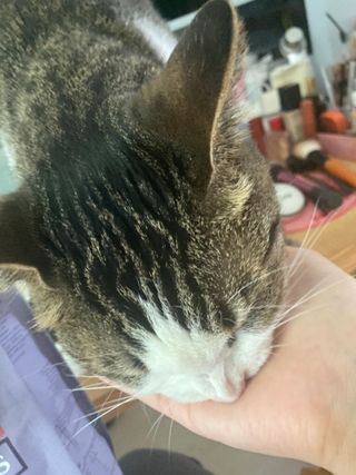 라라님이 올린 리뷰 사진 3