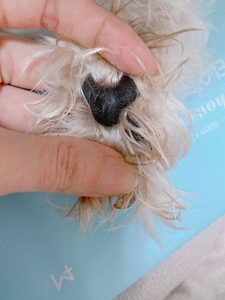 박하님이 올린 리뷰 사진 3