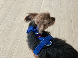 kkyubebe님이 올린 리뷰 사진 3