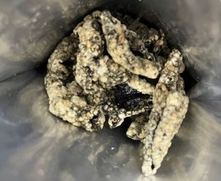 오봉산꽃부각 [만나식품] 오봉산 꽃부각 3가지 맛(오리지널, 새우맛, 매운고추맛) — 4점을 준 리뷰어가 2023년 1월 올린 사용 사진