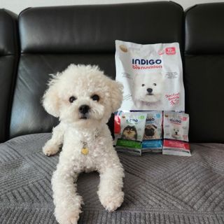 리애나님이 올린 리뷰 사진 1