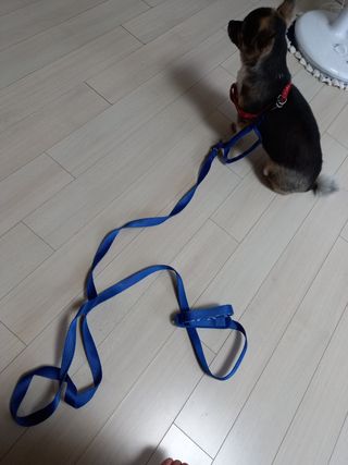 꽃수니어니님이 올린 리뷰 사진 1