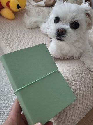 뽀오오옹님이 올린 리뷰 사진 2