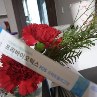 요리여왕 프리바이오틱스 프락토올리고당FOS유산균 — 5점을 준 리뷰어가 2023년 5월 올린 사용 사진