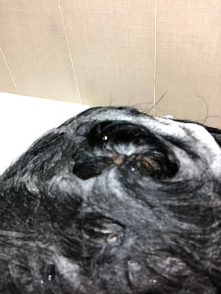 달리프 진저 베러 퍼퓸 탈모 완화 샴푸 1000ml 향 3종 — 5점을 준 리뷰어가 2021년 1월 올린 사용 사진