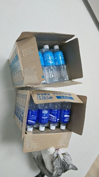 [동아오츠카] 포카리스웨트  500ml PET + 이온워터 500ml PET — 5점을 준 리뷰어가 2025년 6월 올린 사용 사진