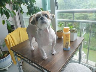 보리엄마님이 올린 리뷰 사진 2