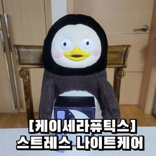 케이세라퓨틱스 케이세라 나이트케어 60포×1box (1개월분) — 5점을 준 리뷰어가 2022년 4월 올린 사용 사진