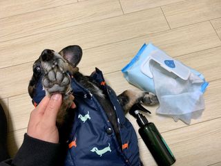 아이수 블루니 몬스터 아기 물티슈 — 3점을 준 리뷰어가 2020년 12월 올린 사용 사진