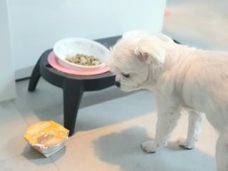 박루씨님이 올린 리뷰 사진 2