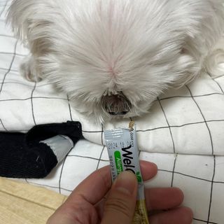 열무님이 올린 리뷰 사진 1