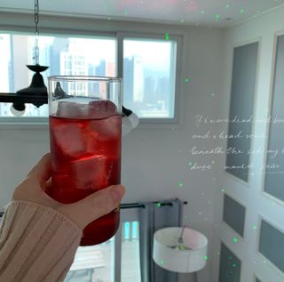 니디즈 포트아이스 2단 밀폐 실리콘 얼음틀 — 5점을 준 리뷰어가 2023년 2월 올린 사용 사진