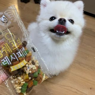 꾸준히님이 올린 리뷰 사진 4