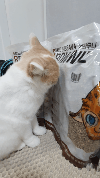 으나님이 올린 리뷰 사진 2
