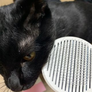 수린님이 올린 리뷰 사진 3